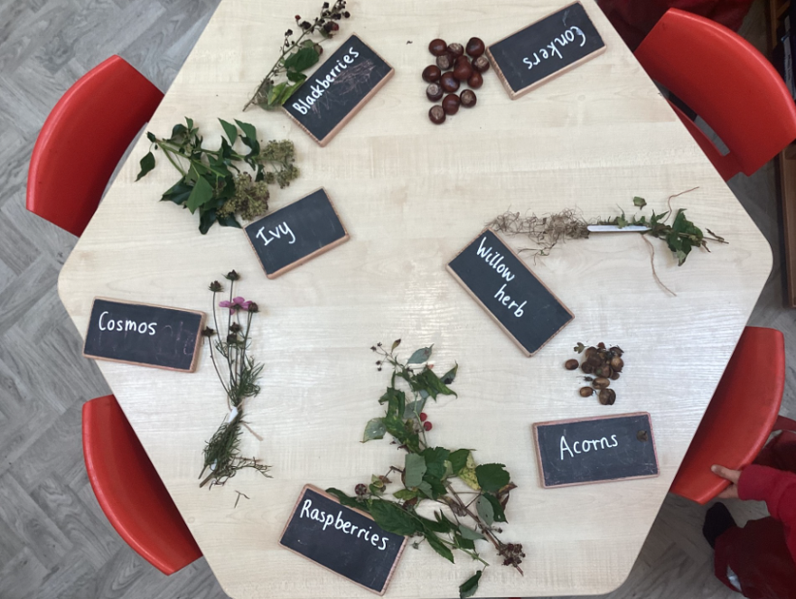 flowers c